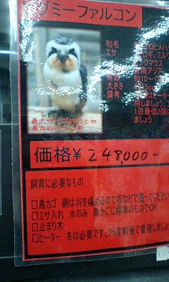 鳥さん 2 くろすけのビジュアル動物大図鑑 Zoo っと一緒